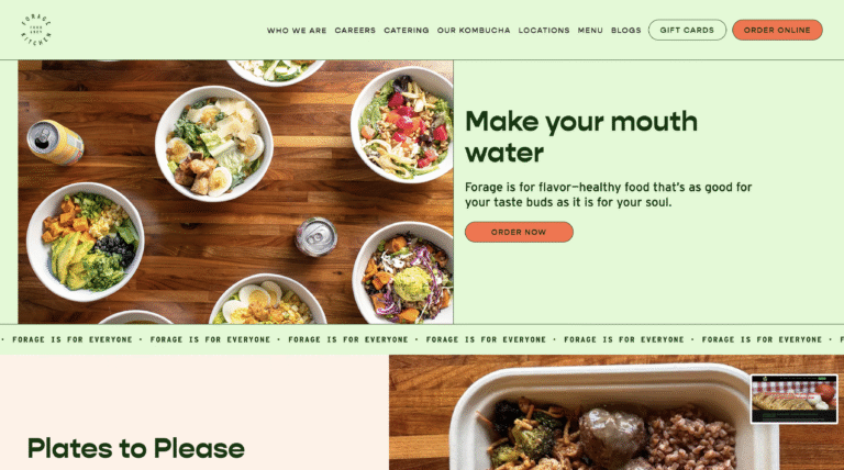 Freelance Web Developer